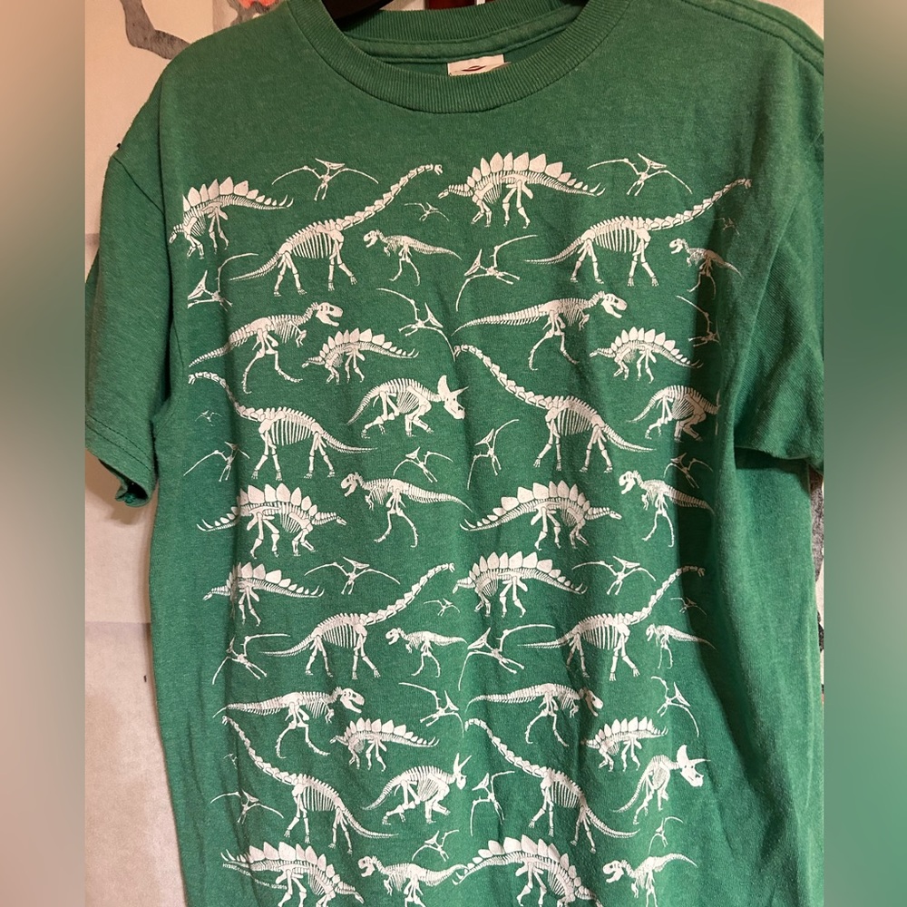 Dinosaur 🦕 T Shirt